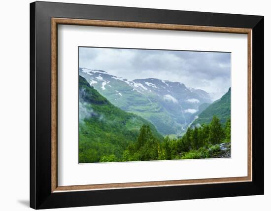 A View of Waterfalls and Forest from the Flam Railway, Flamsbana, Flam, Norway, Scandinavia, Europe-Amanda Hall-Framed Photographic Print