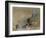 A View on the Rhine-J^ M^ W^ Turner-Framed Giclee Print