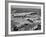 A View Showing Navy Dive Bomber Squadrons at Lake Charles Airport-Dmitri Kessel-Framed Premium Photographic Print