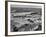 A View Showing Navy Dive Bomber Squadrons at Lake Charles Airport-Dmitri Kessel-Framed Premium Photographic Print