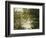 A View Through the Trees of La Grande Jatte Island; a Travers Les Arbres, Ile De La Grande Jatte,…-Claude Monet-Framed Giclee Print