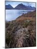 A View Towards the Cuillin Hills Across Loch Ainort on the Isle of Skye, Scotland, United Kingdom-Jon Gibbs-Mounted Photographic Print