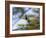 A Violet-Capped Wood Nymph Calls Out on a Branch in Ubatuba, Brazil-Alex Saberi-Framed Photographic Print