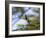 A Violet-Capped Wood Nymph Calls Out on a Branch in Ubatuba, Brazil-Alex Saberi-Framed Photographic Print