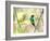 A Violet-Capped Woodnymph Perches on a Tree Branch in the Atlantic Rainforest-Alex Saberi-Framed Photographic Print