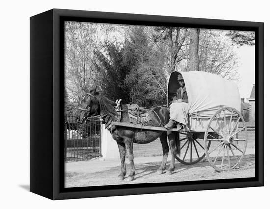 A Virginia Vegetable Cart-null-Framed Stretched Canvas