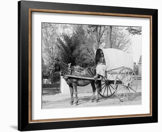 A Virginia Vegetable Cart-null-Framed Photo