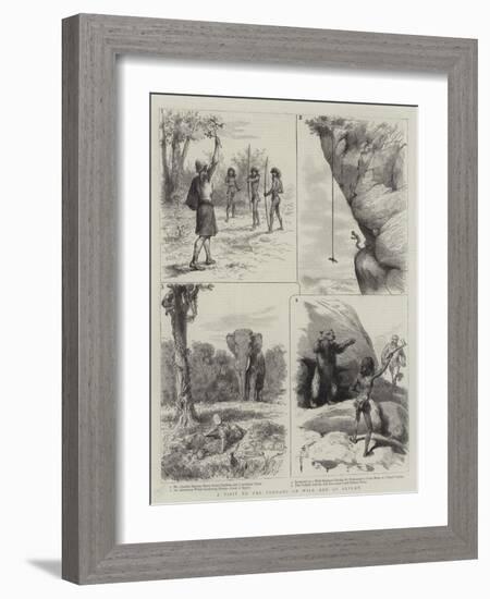 A Visit to the Veddahs or Wild Men of Ceylon-null-Framed Giclee Print