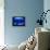 A Visitor Looks at the Jellyfish Called Brown Sea Nettle-null-Framed Premier Image Canvas displayed on a wall