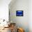 A Visitor Looks at the Jellyfish Called Brown Sea Nettle-null-Framed Premier Image Canvas displayed on a wall