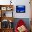 A Visitor Looks at the Jellyfish Called Brown Sea Nettle-null-Photographic Print displayed on a wall