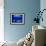 A Visitor Looks at the Jellyfish Called Brown Sea Nettle-null-Framed Photographic Print displayed on a wall