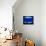 A Visitor Looks at the Jellyfish Called Brown Sea Nettle-null-Mounted Photographic Print displayed on a wall