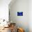 A Visitor Looks at the Jellyfish Called Brown Sea Nettle-null-Photographic Print displayed on a wall