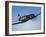 A Vought F4U-5 Corsair in Flight-Stocktrek Images-Framed Photographic Print