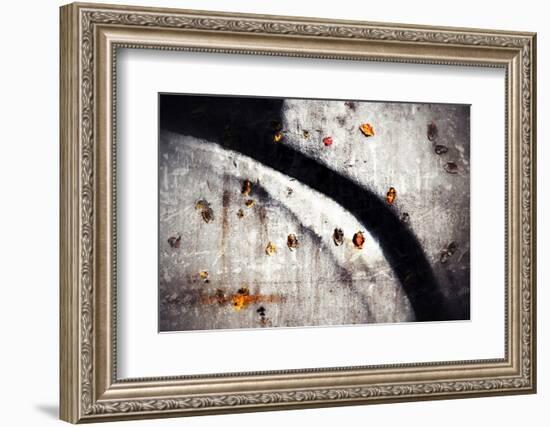 A Walk in Fall-Ursula Abresch-Framed Photographic Print