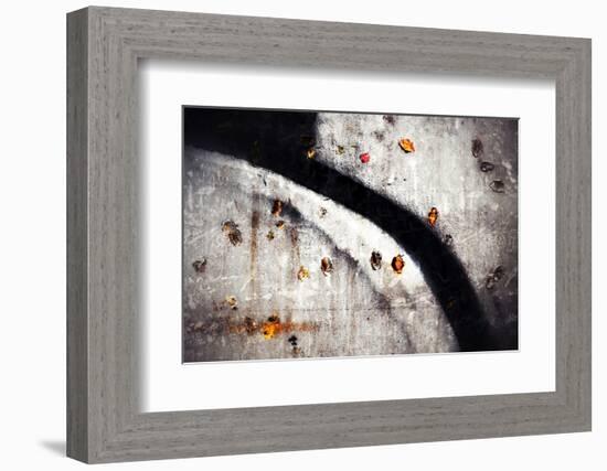 A Walk in Fall-Ursula Abresch-Framed Photographic Print