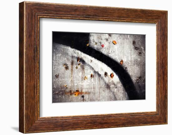 A Walk in Fall-Ursula Abresch-Framed Photographic Print