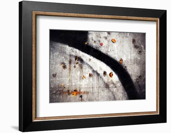 A Walk in Fall-Ursula Abresch-Framed Photographic Print