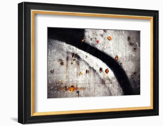 A Walk in Fall-Ursula Abresch-Framed Photographic Print