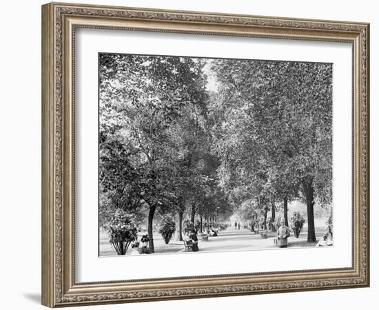 A Walk in Lincoln Park, Chicago-null-Framed Photo