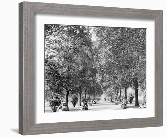 A Walk in Lincoln Park, Chicago-null-Framed Photo