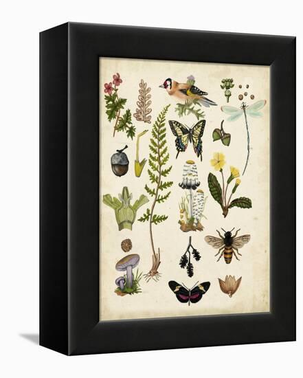 A Walk in the Forest I-Naomi McCavitt-Framed Stretched Canvas