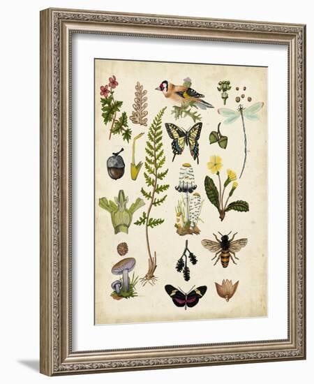 A Walk in the Forest I-Naomi McCavitt-Framed Art Print