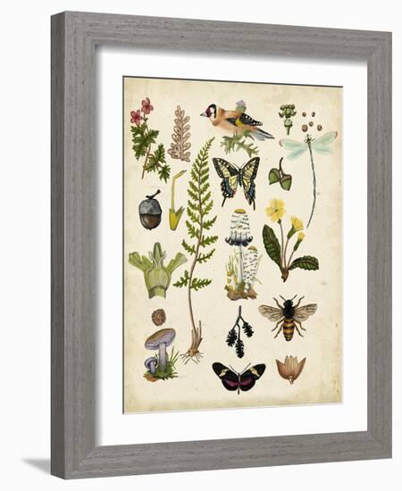 A Walk in the Forest I-Naomi McCavitt-Framed Art Print