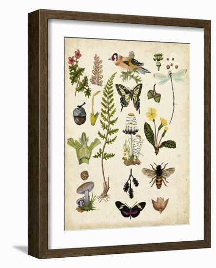 A Walk in the Forest I-Naomi McCavitt-Framed Art Print