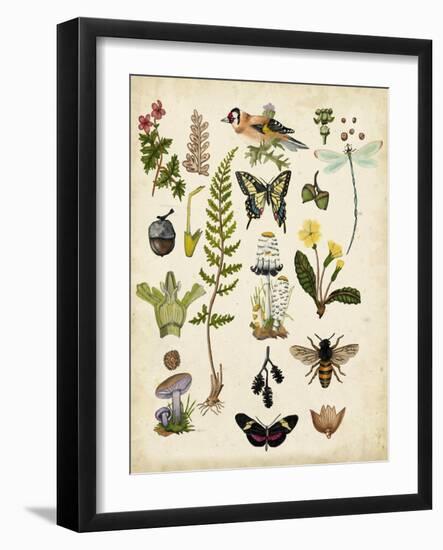 A Walk in the Forest I-Naomi McCavitt-Framed Art Print