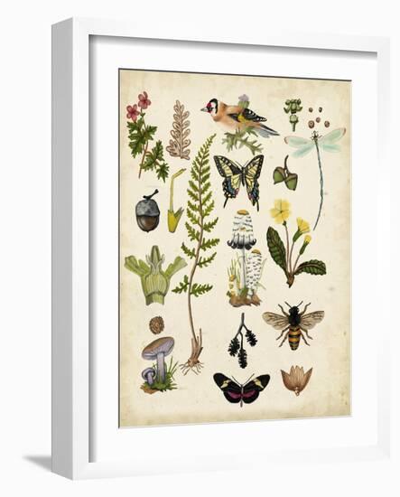 A Walk in the Forest I-Naomi McCavitt-Framed Art Print