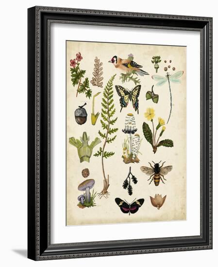 A Walk in the Forest I-Naomi McCavitt-Framed Art Print