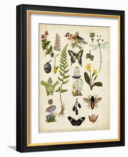 A Walk in the Forest I-Naomi McCavitt-Framed Art Print