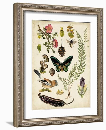 A Walk in the Forest II-Naomi McCavitt-Framed Art Print