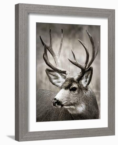 A Walk in the Meadow-null-Framed Art Print