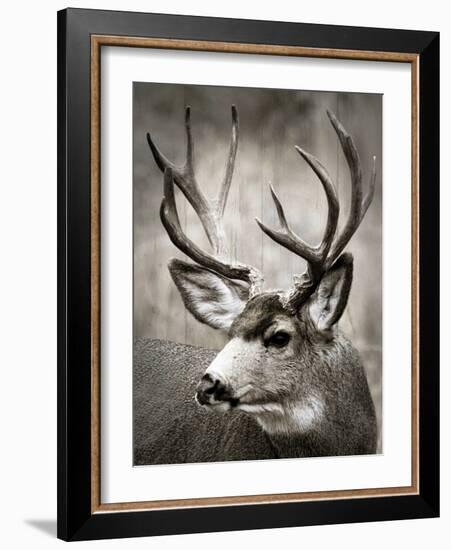 A Walk in the Meadow-null-Framed Art Print