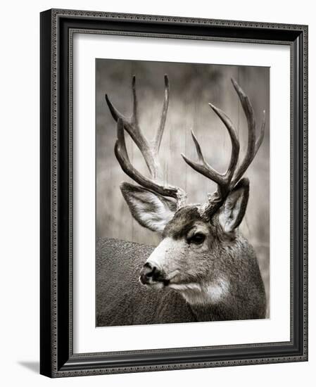 A Walk in the Meadow-null-Framed Art Print