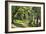 A Walk in the Park-Carsten Henrichsen-Framed Giclee Print