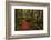 A Walk in the Woods II-Danny Head-Framed Photographic Print