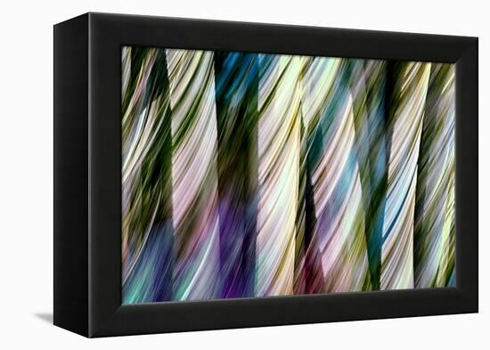 A Walk in the Woods-Ursula Abresch-Framed Premier Image Canvas