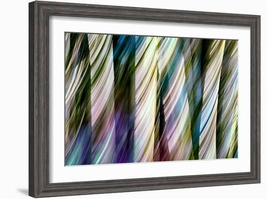 A Walk in the Woods-Ursula Abresch-Framed Photographic Print