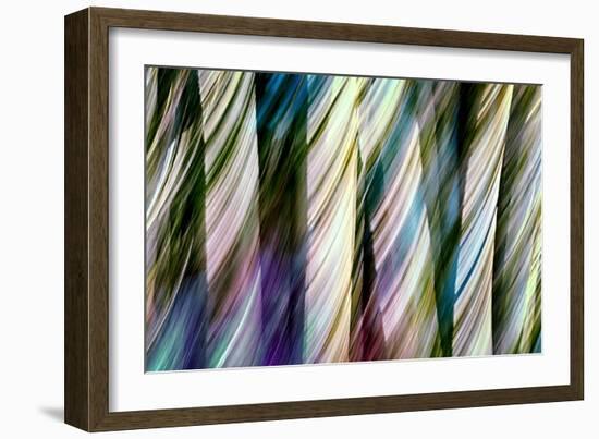 A Walk in the Woods-Ursula Abresch-Framed Photographic Print