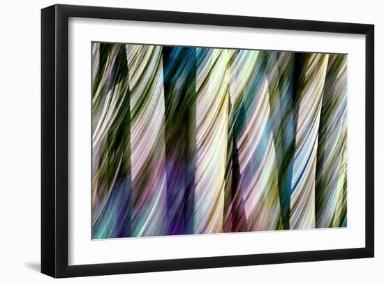 A Walk in the Woods-Ursula Abresch-Framed Photographic Print