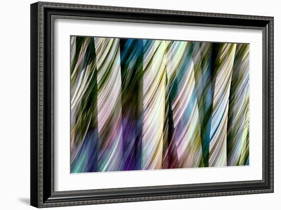 A Walk in the Woods-Ursula Abresch-Framed Photographic Print