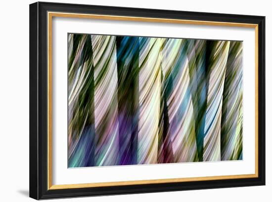 A Walk in the Woods-Ursula Abresch-Framed Photographic Print