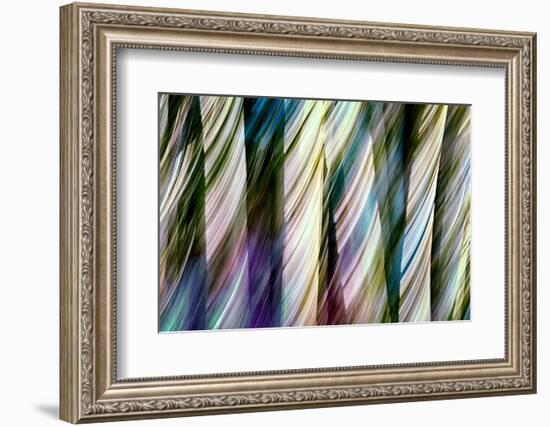 A Walk in the Woods-Ursula Abresch-Framed Photographic Print