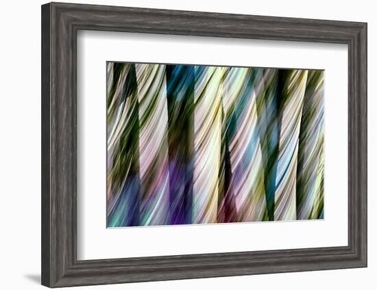 A Walk in the Woods-Ursula Abresch-Framed Photographic Print