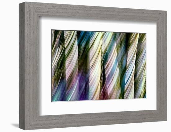 A Walk in the Woods-Ursula Abresch-Framed Photographic Print