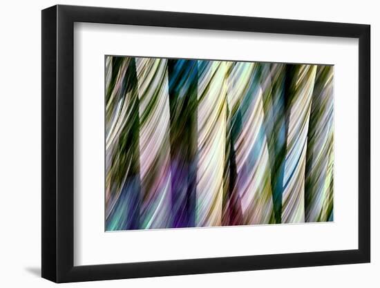 A Walk in the Woods-Ursula Abresch-Framed Photographic Print